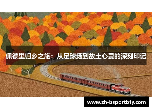 佩德里归乡之旅：从足球场到故土心灵的深刻印记