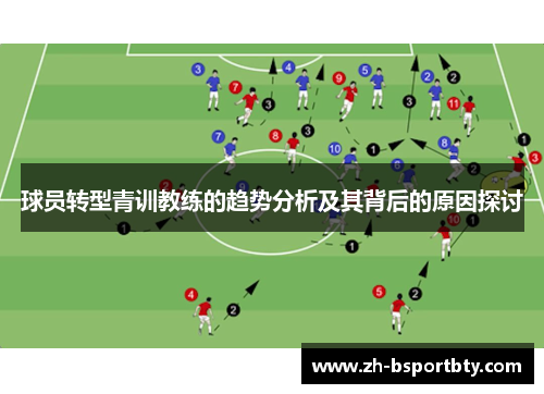 球员转型青训教练的趋势分析及其背后的原因探讨